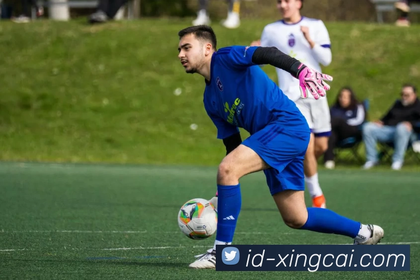 杏彩体育APP 封面图